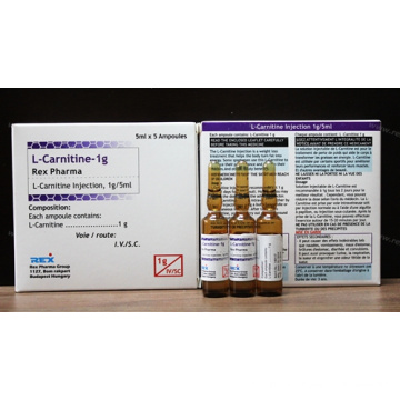 Carnitina 1g &amp; L-Carnitina &amp; Injetável L-Carnitina